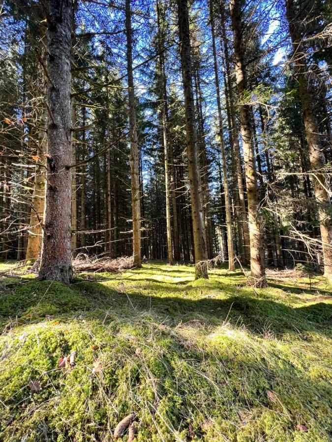 Willa Haus Im Schwarzwald Lenzkirch Zewnętrze zdjęcie