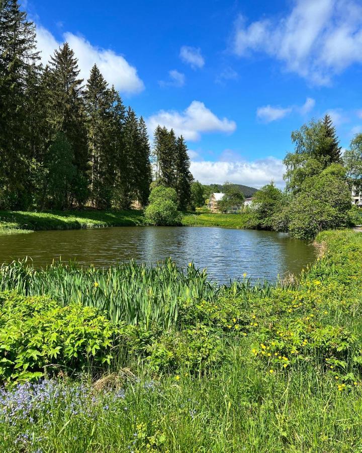 Willa Haus Im Schwarzwald Lenzkirch Zewnętrze zdjęcie