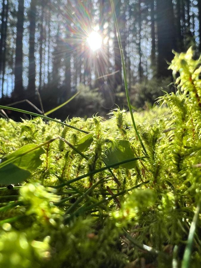 Willa Haus Im Schwarzwald Lenzkirch Zewnętrze zdjęcie